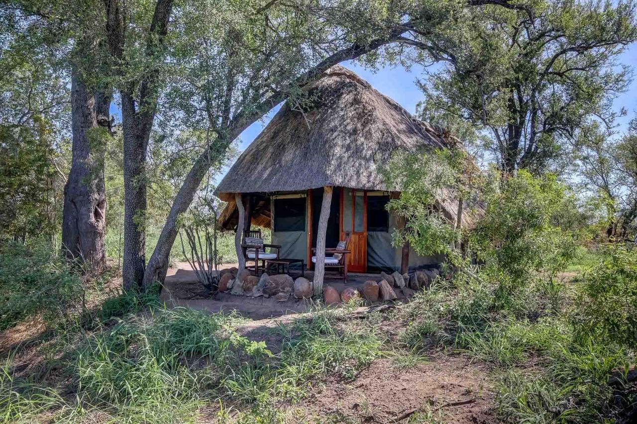 Pungwe Safari Camp Villa Manyeleti Doğa Koruma Alanı Dış mekan fotoğraf