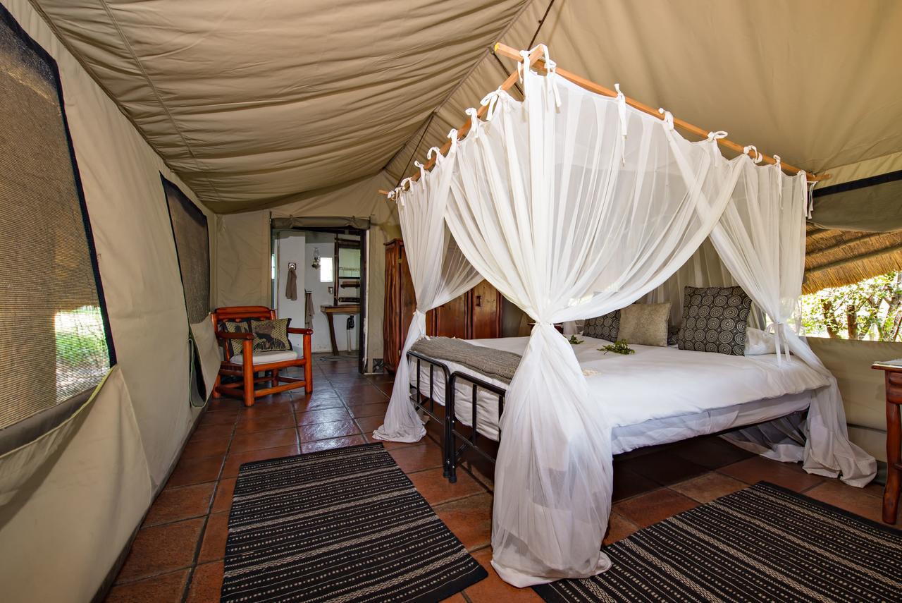 Pungwe Safari Camp Villa Manyeleti Doğa Koruma Alanı Dış mekan fotoğraf